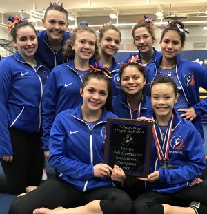 HEHS gymnasts trip to State Series creates confidence for entire team