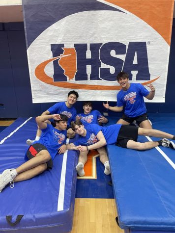 Boys gymnastics competes at State competition