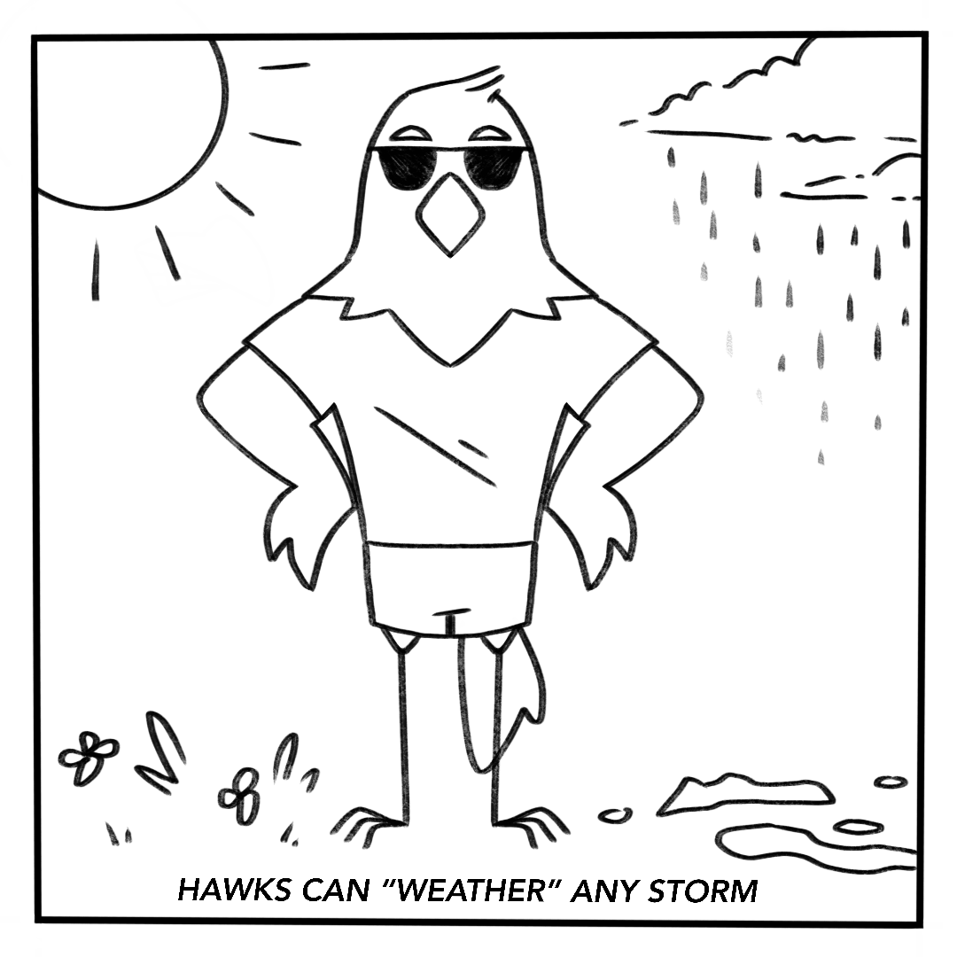 Editorial Cartoon: Hawks can weather any storm